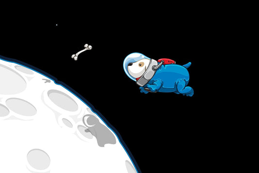 Space Doggy Print