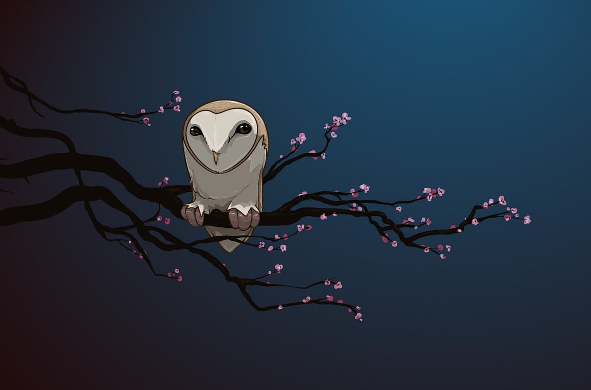 A stylized illustration of a barn owl perched on a dark branch with small pink blossoms against a dark blue gradient background.