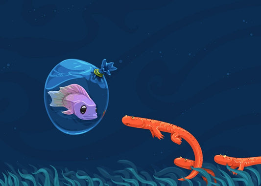 A stylized underwater illustration showing a pink fish inside a clear blue bubble with a small blue star above it, facing orange salamanders on a dark blue background with seaweed at the bottom.
