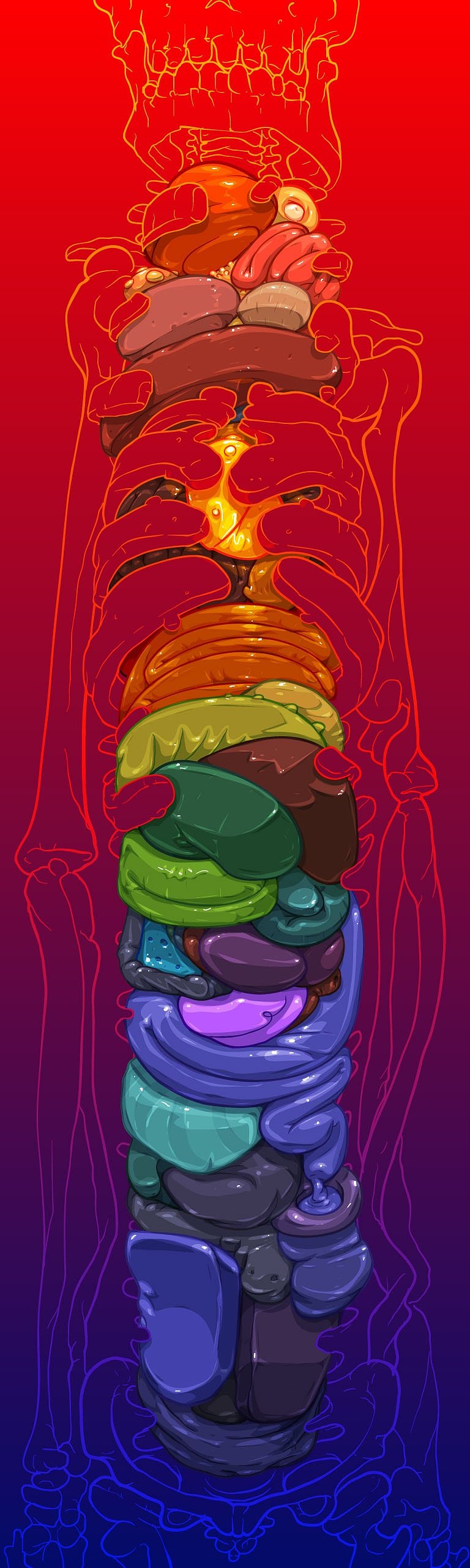 A stylized vertical anatomical illustration of the human digestive tract and internal organs, rendered in a colorful layered stack with red, orange, yellow, green, blue, and purple tones on a red-to-blue gradient background.