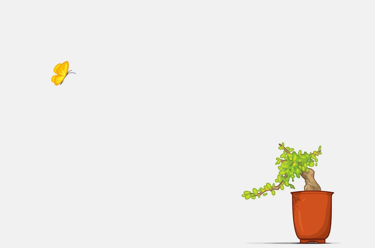 A minimalist illustration of a small potted bonsai-style green plant in an orange-brown pot on a light gray background, with a small yellow butterfly floating in the upper left.