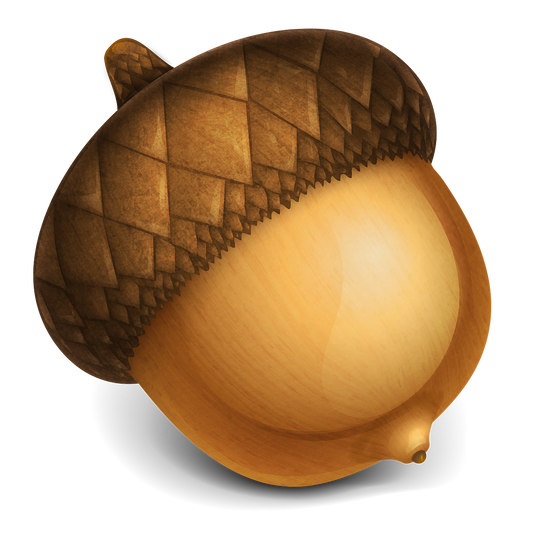 A realistic 3D illustration of a single acorn with a textured brown cap and a smooth golden-brown body, shown on a plain white background with a soft shadow underneath.